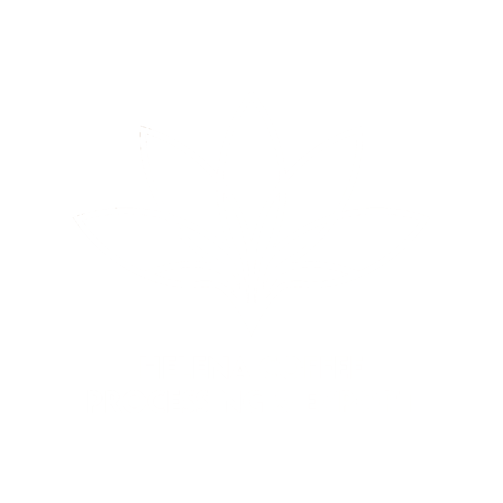 Helena Coffee Processing & Export
