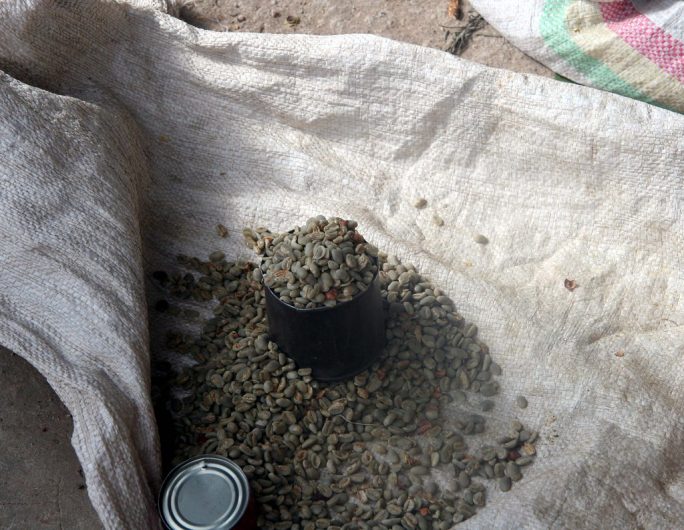 Harar Coffee from Ethiopia