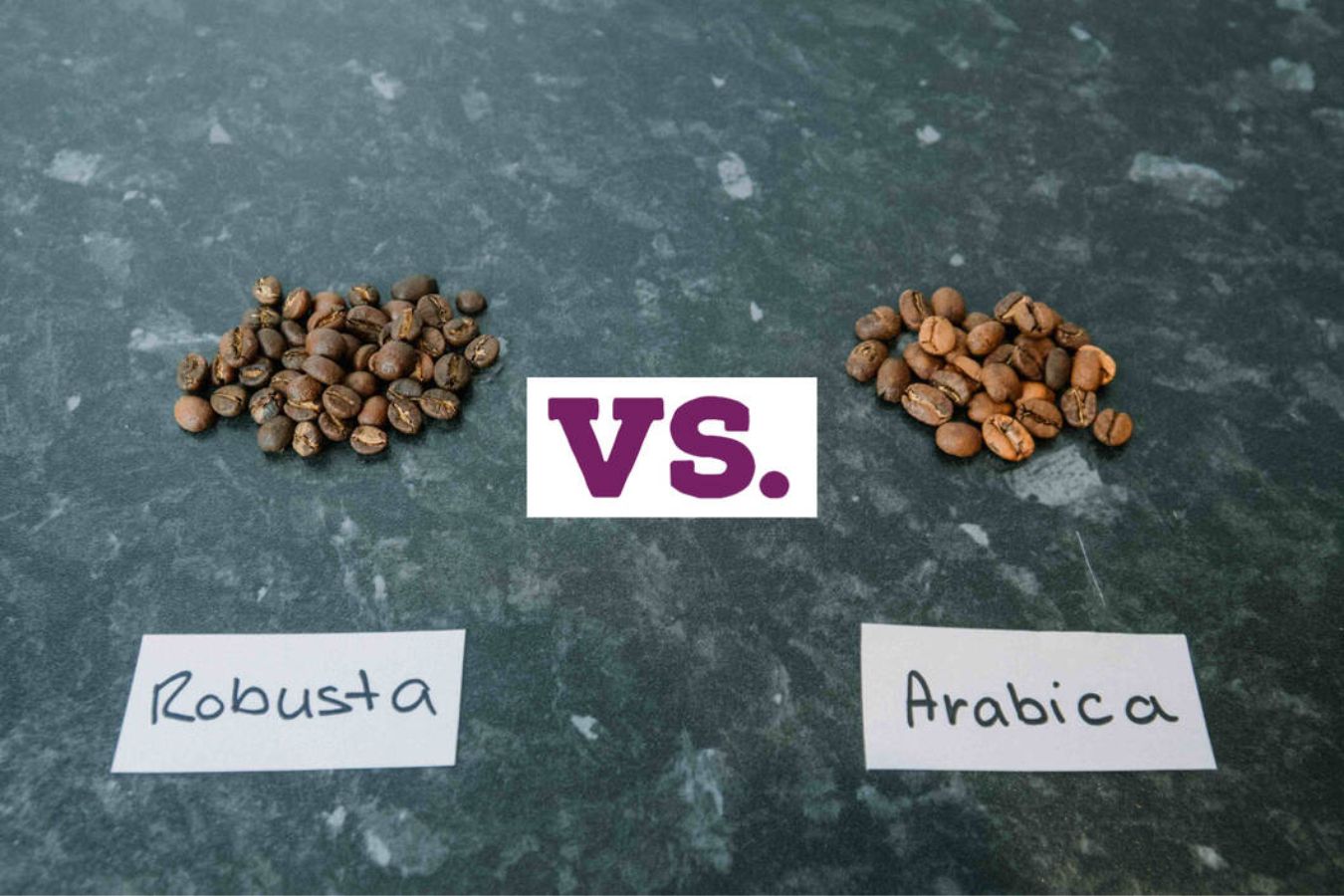 Which Is More Delicious Arabica or Robusta Coffee