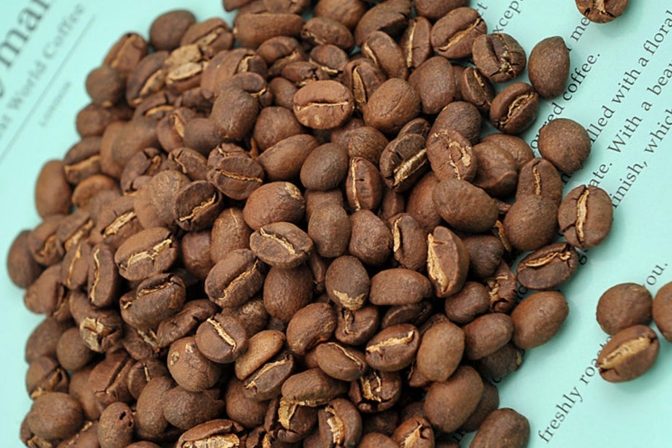 the-best-coffee-beans-top-15-types-of-best-bean-coffee-and-most-popular-in-the-world (4)