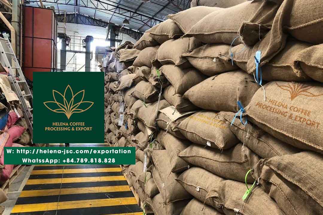 top-5-best-vietnamese-coffee-beans-exporter