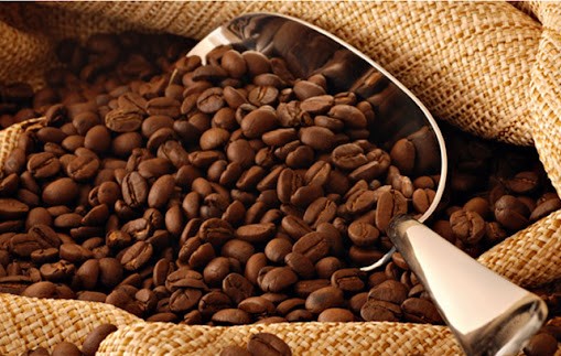 Types Of Coffee Beans In Vietnam