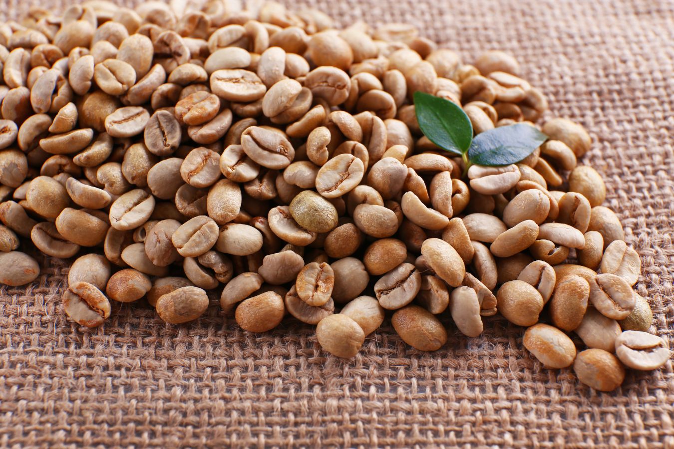 Top 5 Best Types Of Vietnamese Coffee Beans