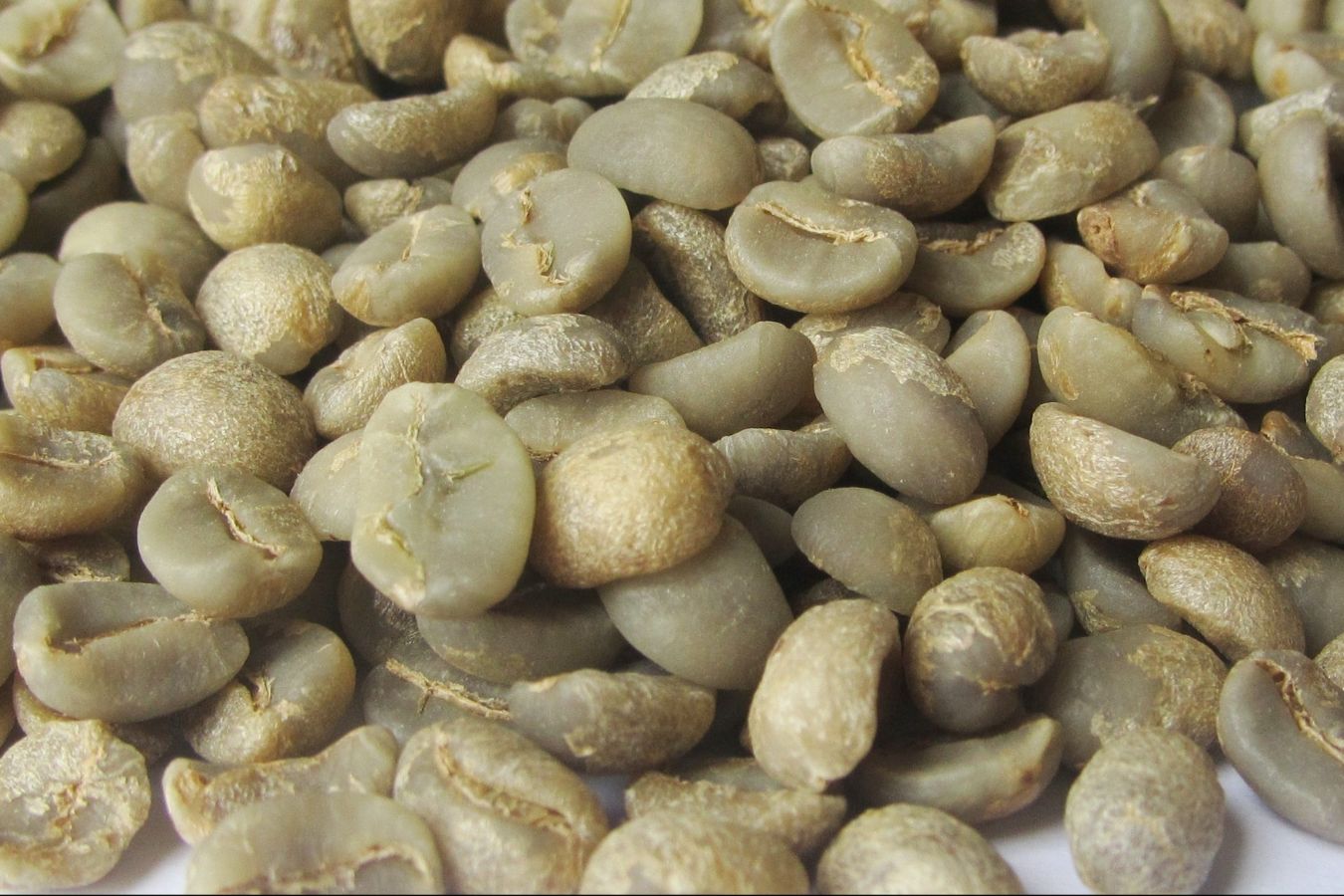 Vietnam Arabica Fully Washed - Green Coffee Beans