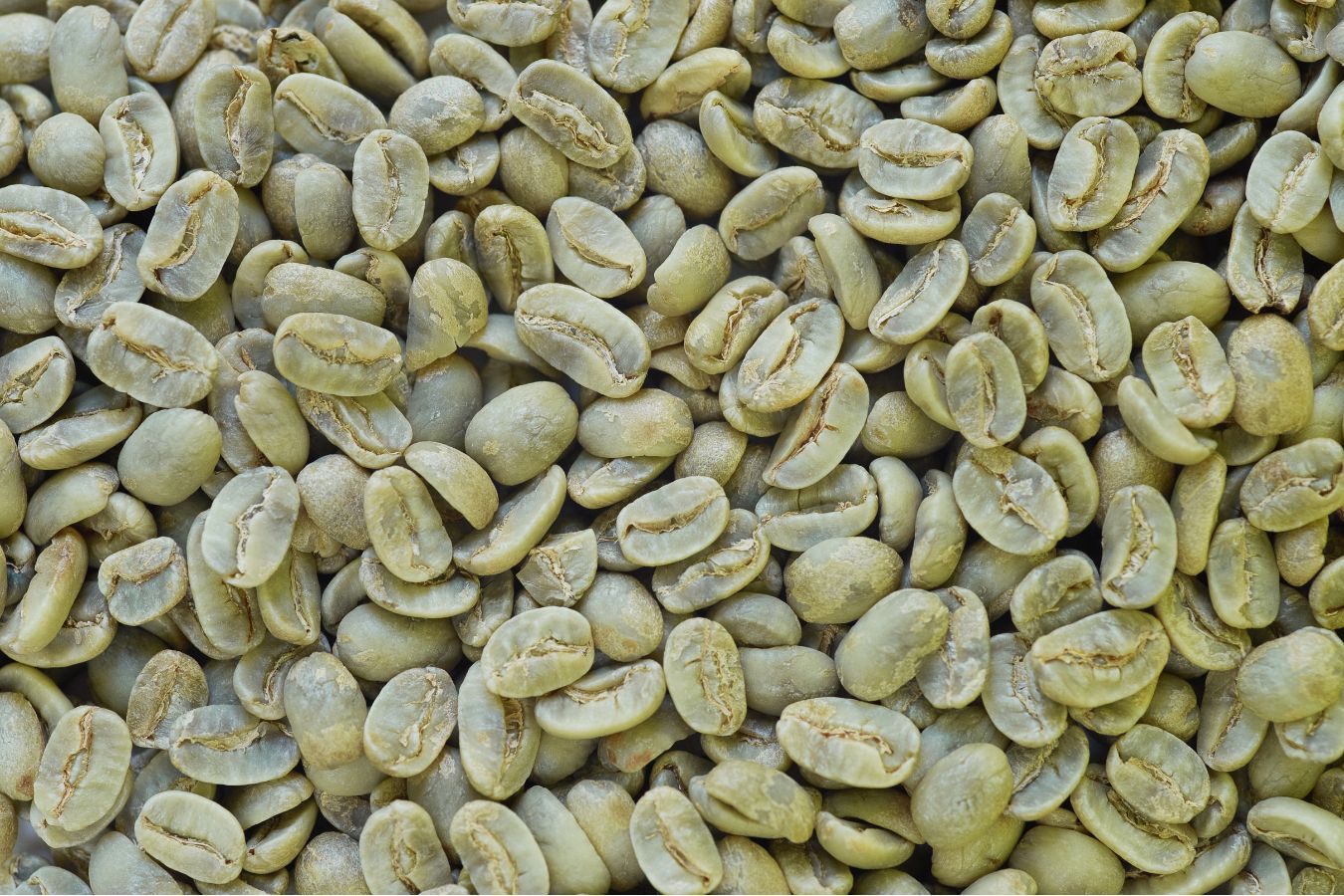 Vietnamese Green Coffee Beans