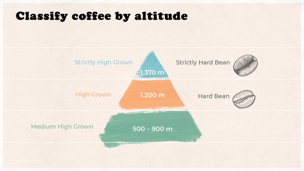 classify_coffee_by_attitude