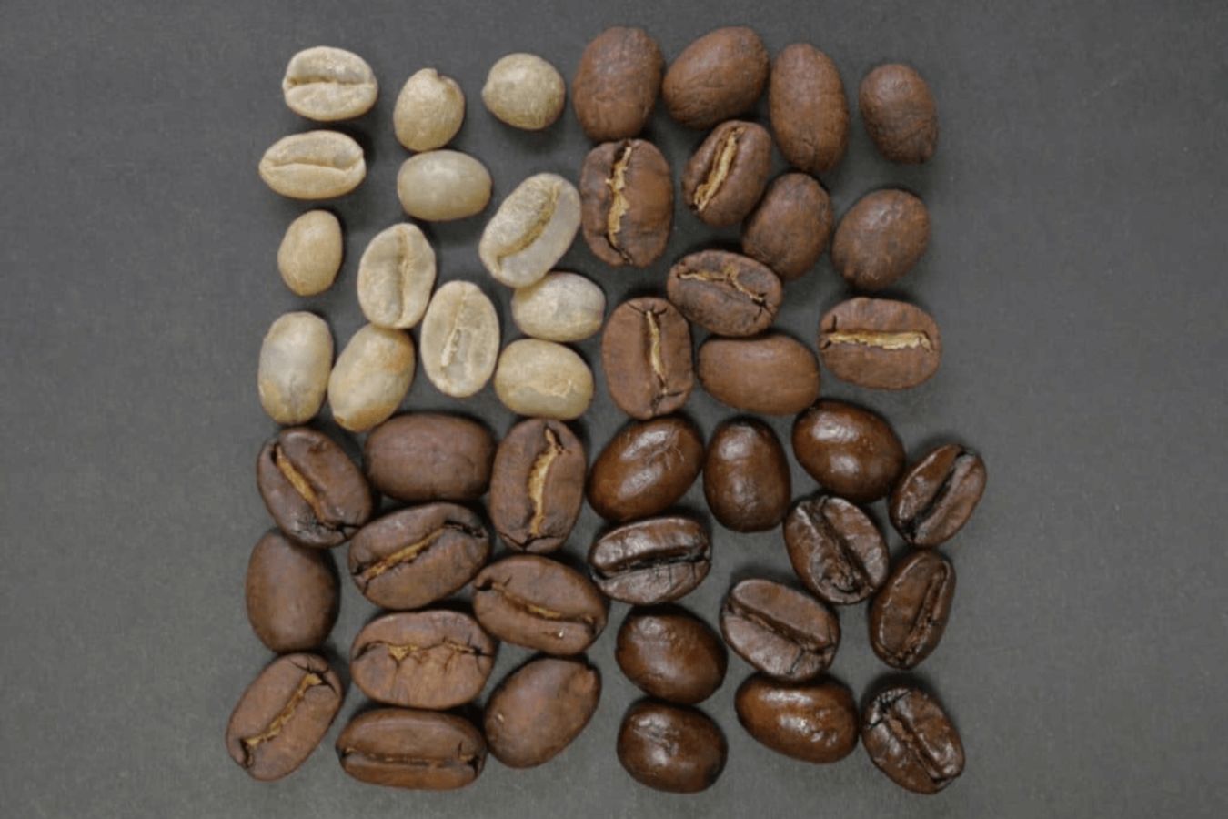Bitter Taste In Coffee (2)