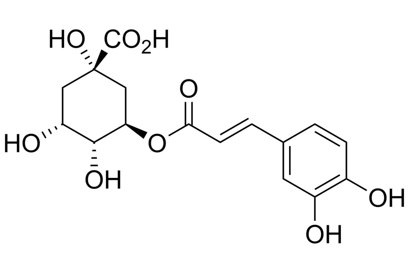 Chlorogenic Acid 