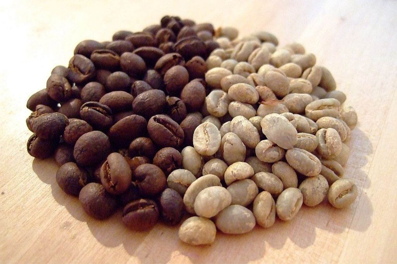 Coffee Grading In Kenya