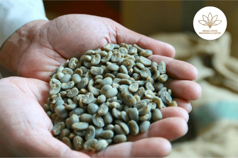 Coffee Production In Indonesia - Introduction Coffee