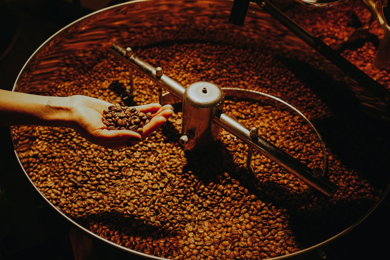 Coffee Roasting Process And Basics
