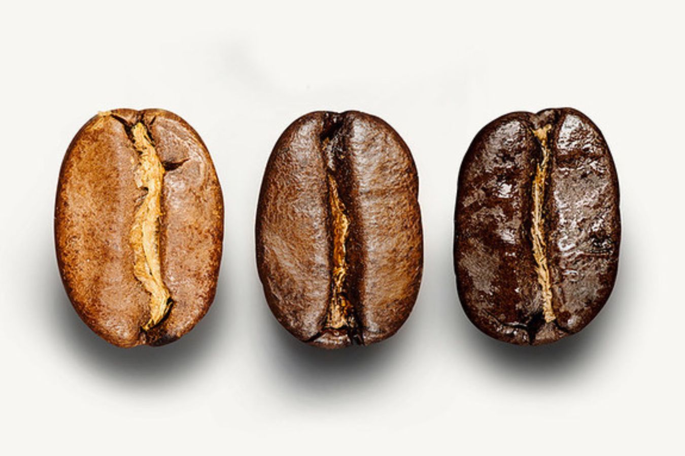 Four Main Coffee Processing Methods 