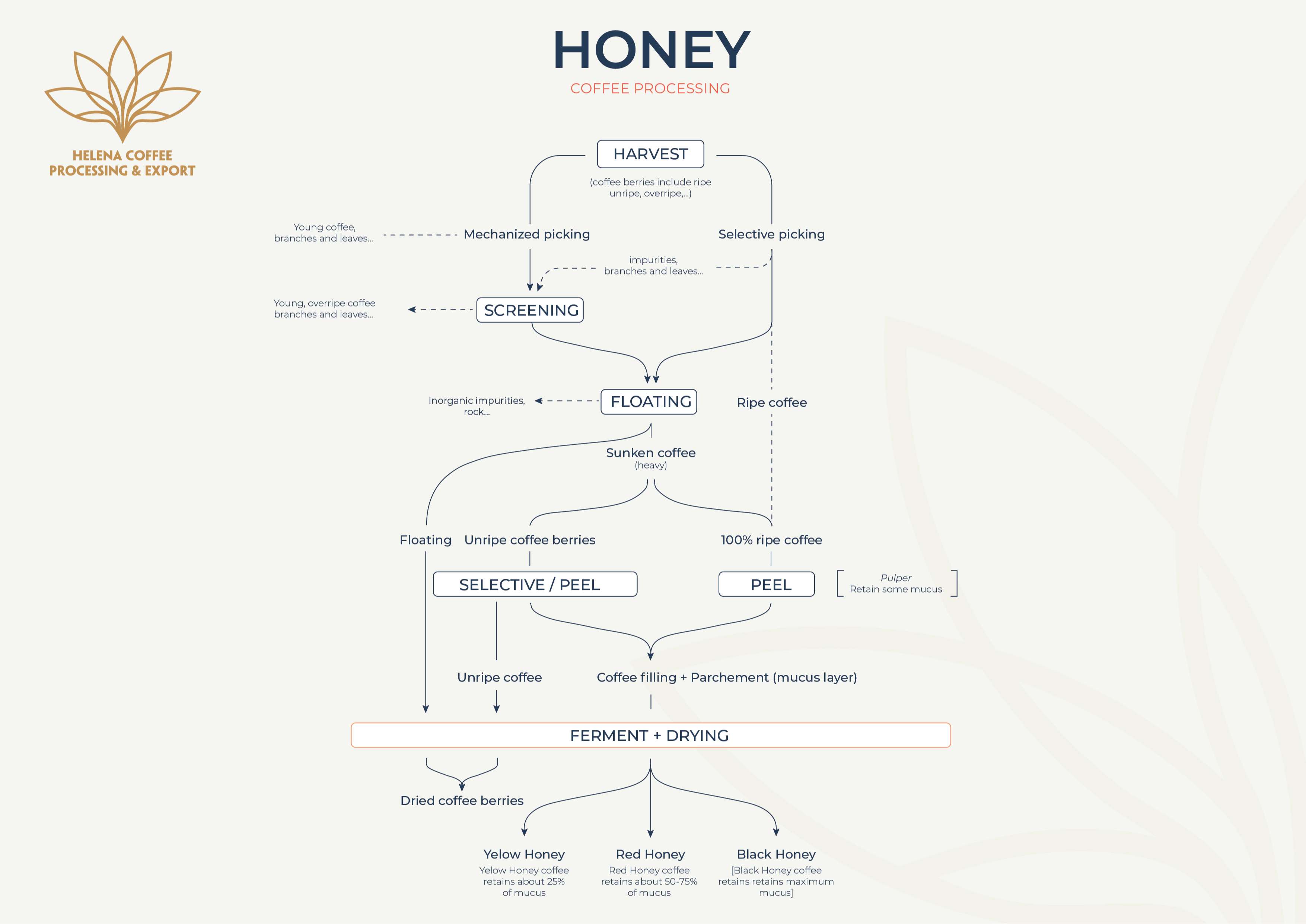 Honey processing technique on ​​coffee
