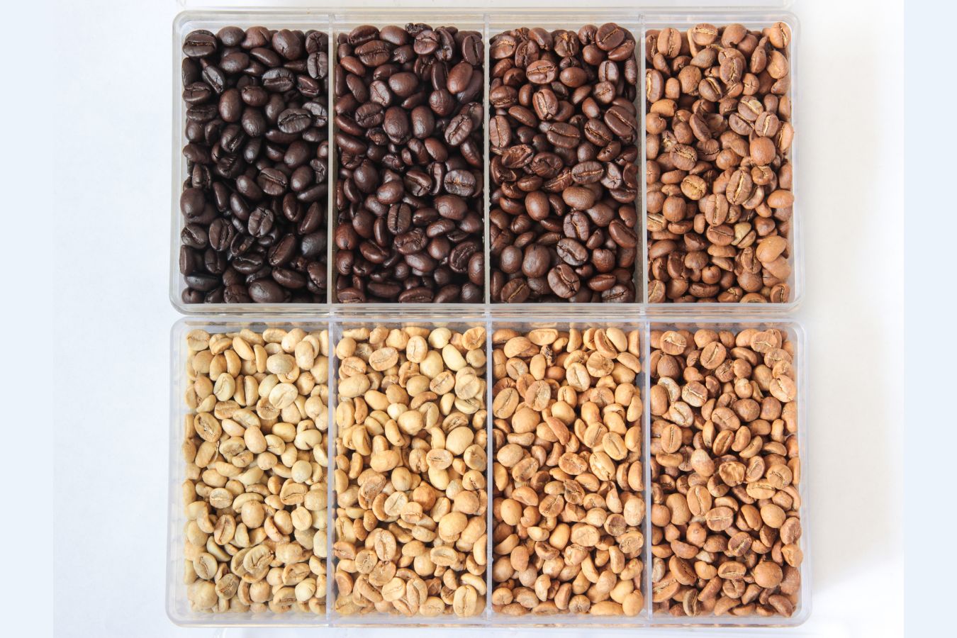How To Know The Coffee Roasting Level