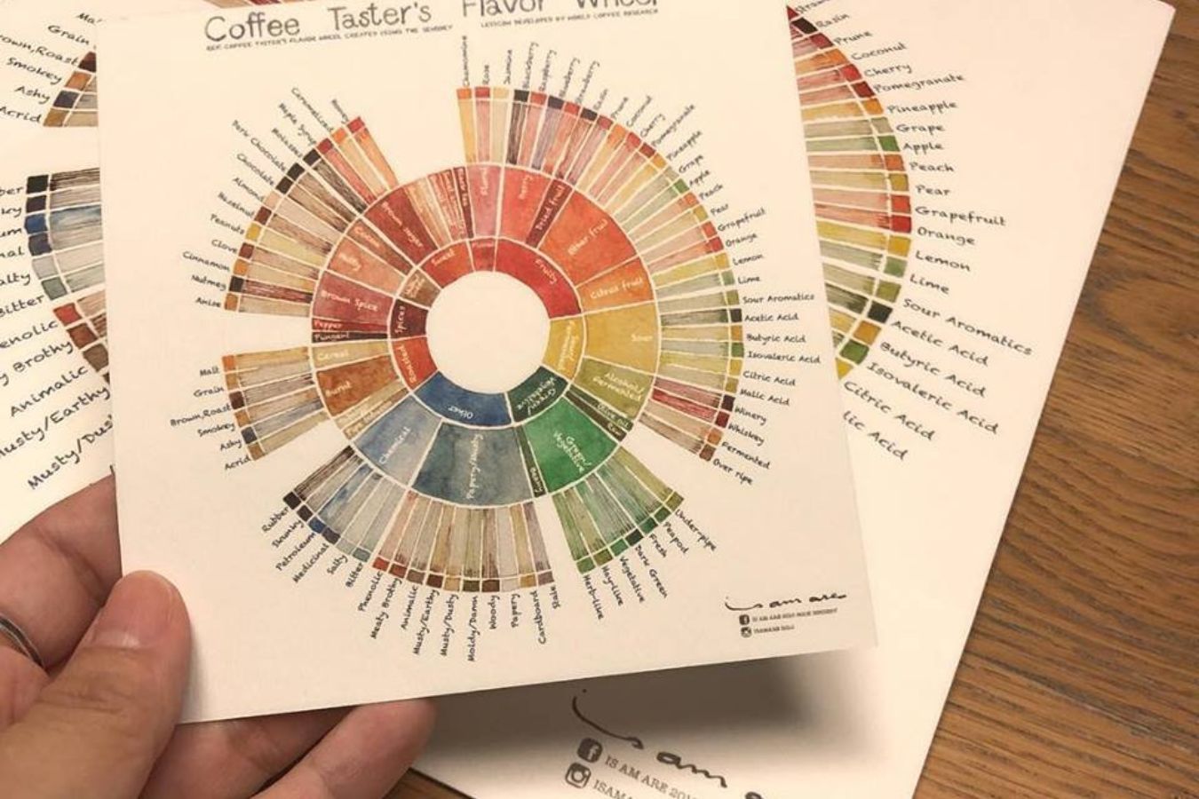 How To Use Coffee Taster’s Flavor Wheel