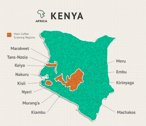Overview Of Kenyan Coffee From Africa