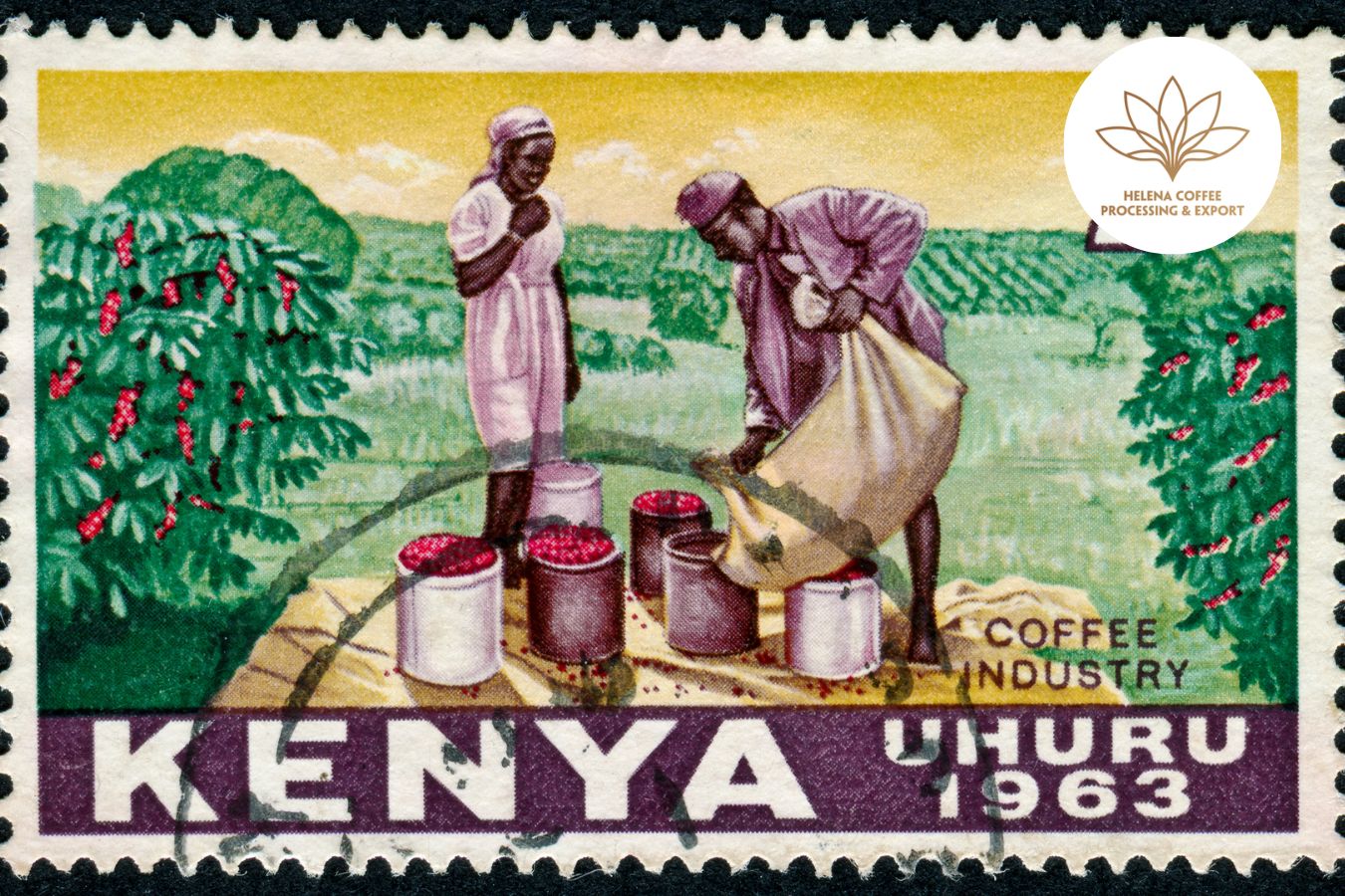 Overview Of Kenyan Coffee From Africa