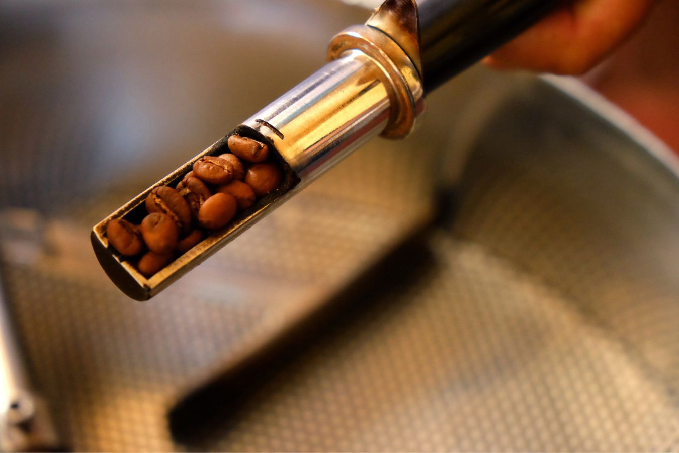Roasting Levels Affect the Coffee Taste