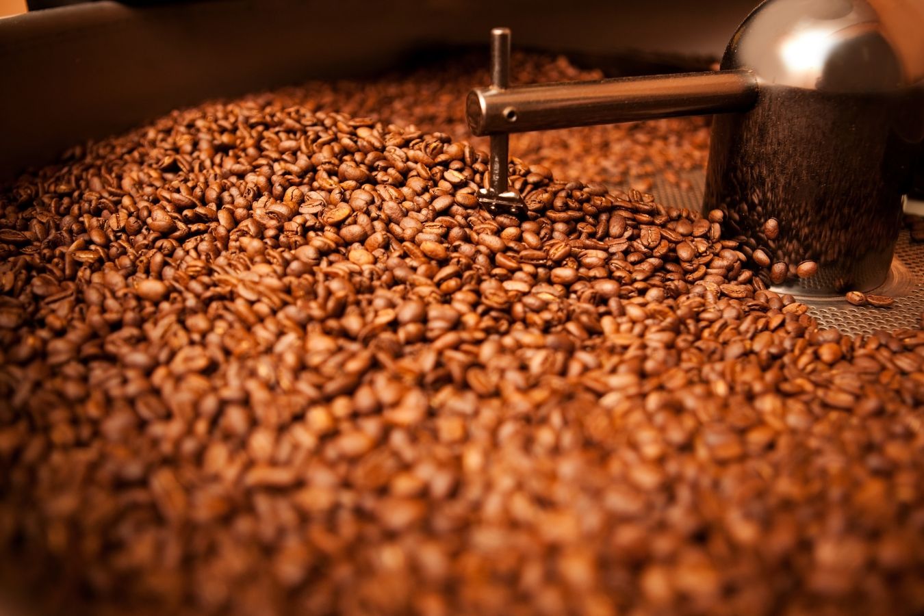What Is Coffee Degassing Processing?