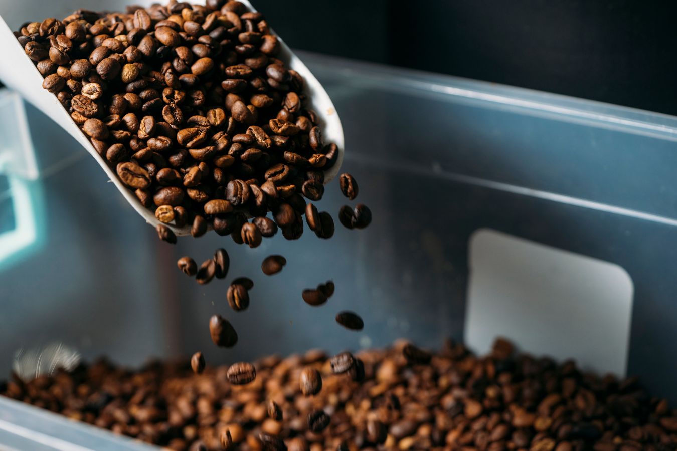 What Is Coffee Degassing Processing?