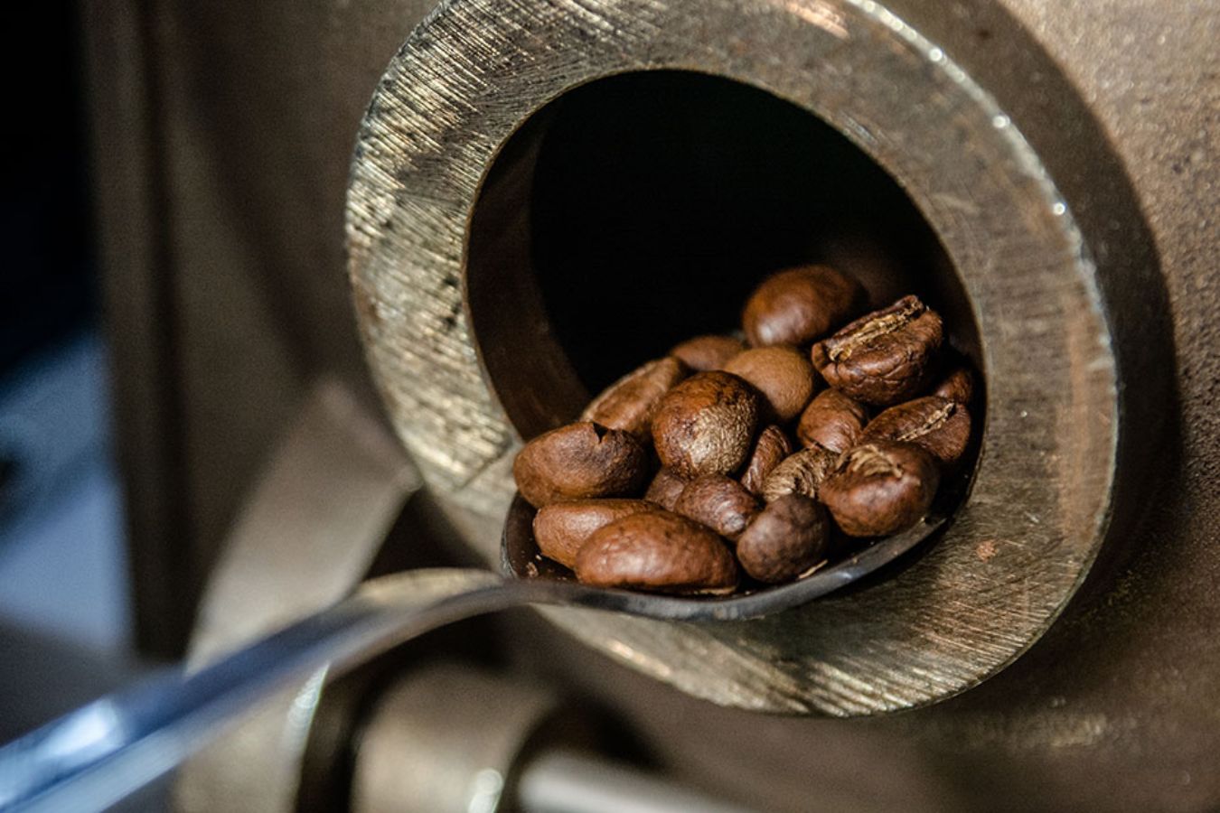 What Is Sample Roasted Coffee 
