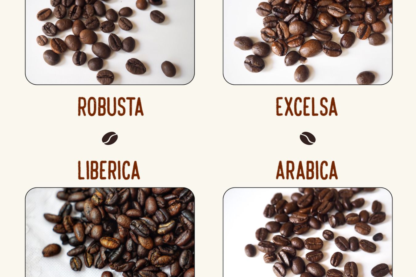 Choose the Kind of Coffee Beans that Match the Menu 