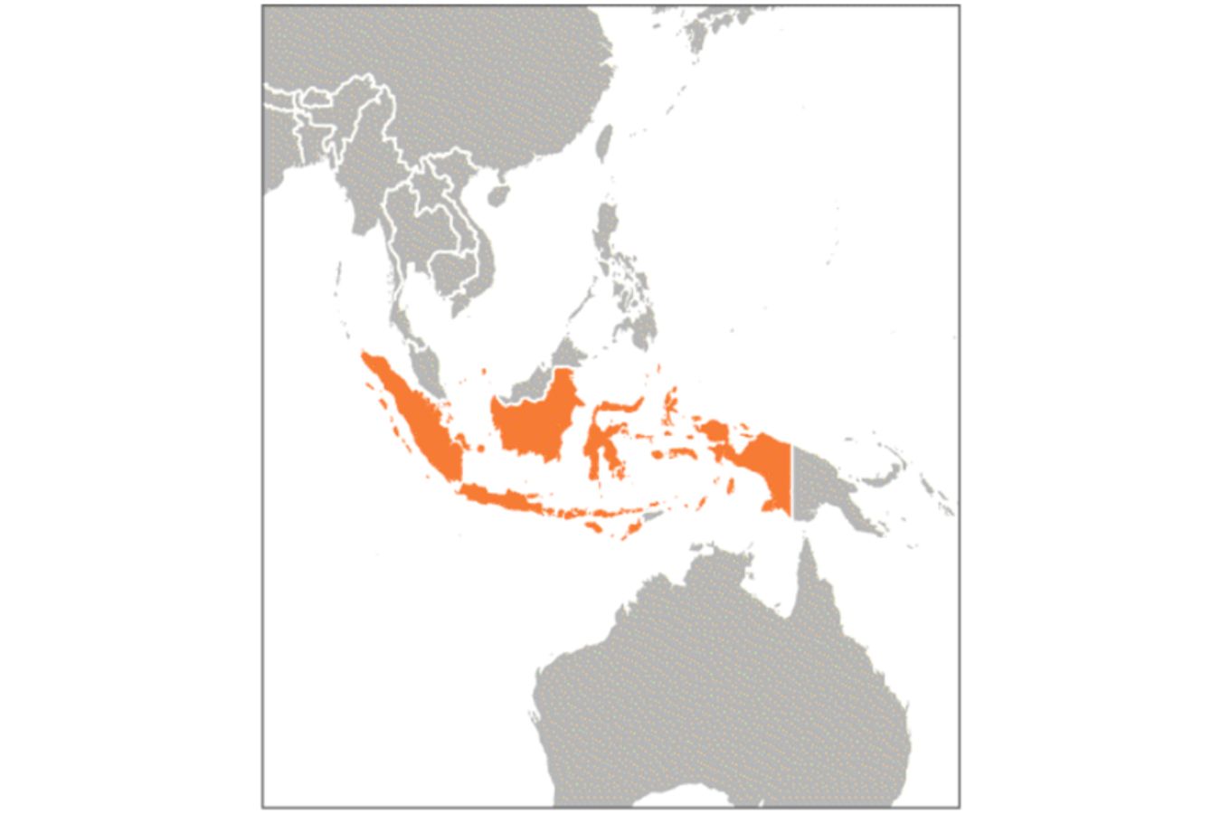 Coffee Origins Indonesia (1)
