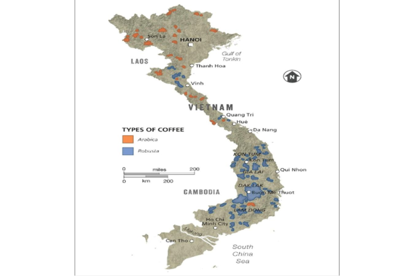 Coffee Origins of Vietnam (1)