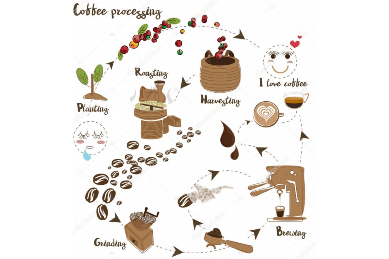 Coffee Roasting Process (1)