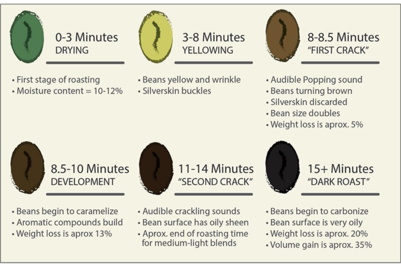 Coffee Roasting Process (1)