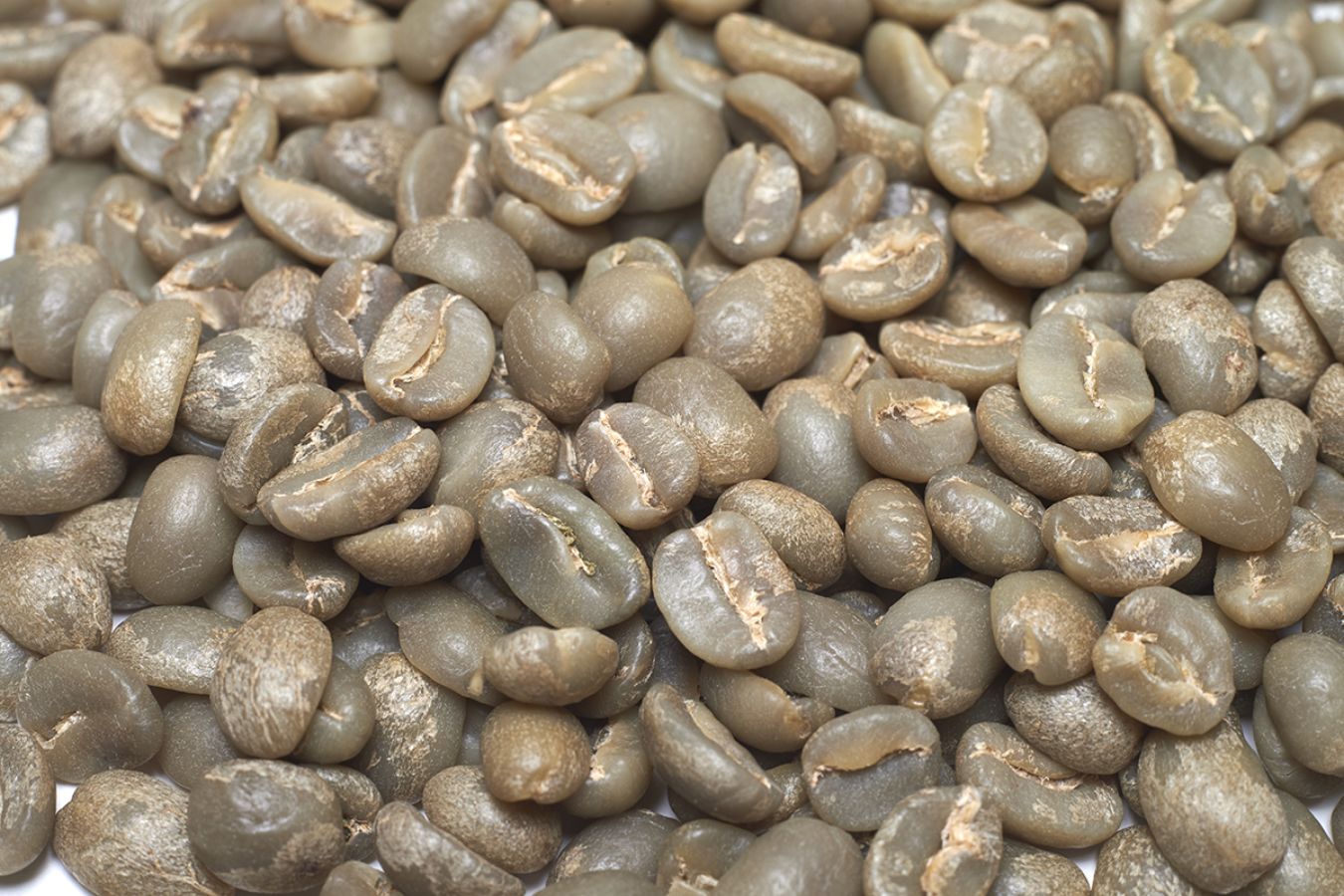 How To Keep The Quality of Green Coffee After Preliminary Processing