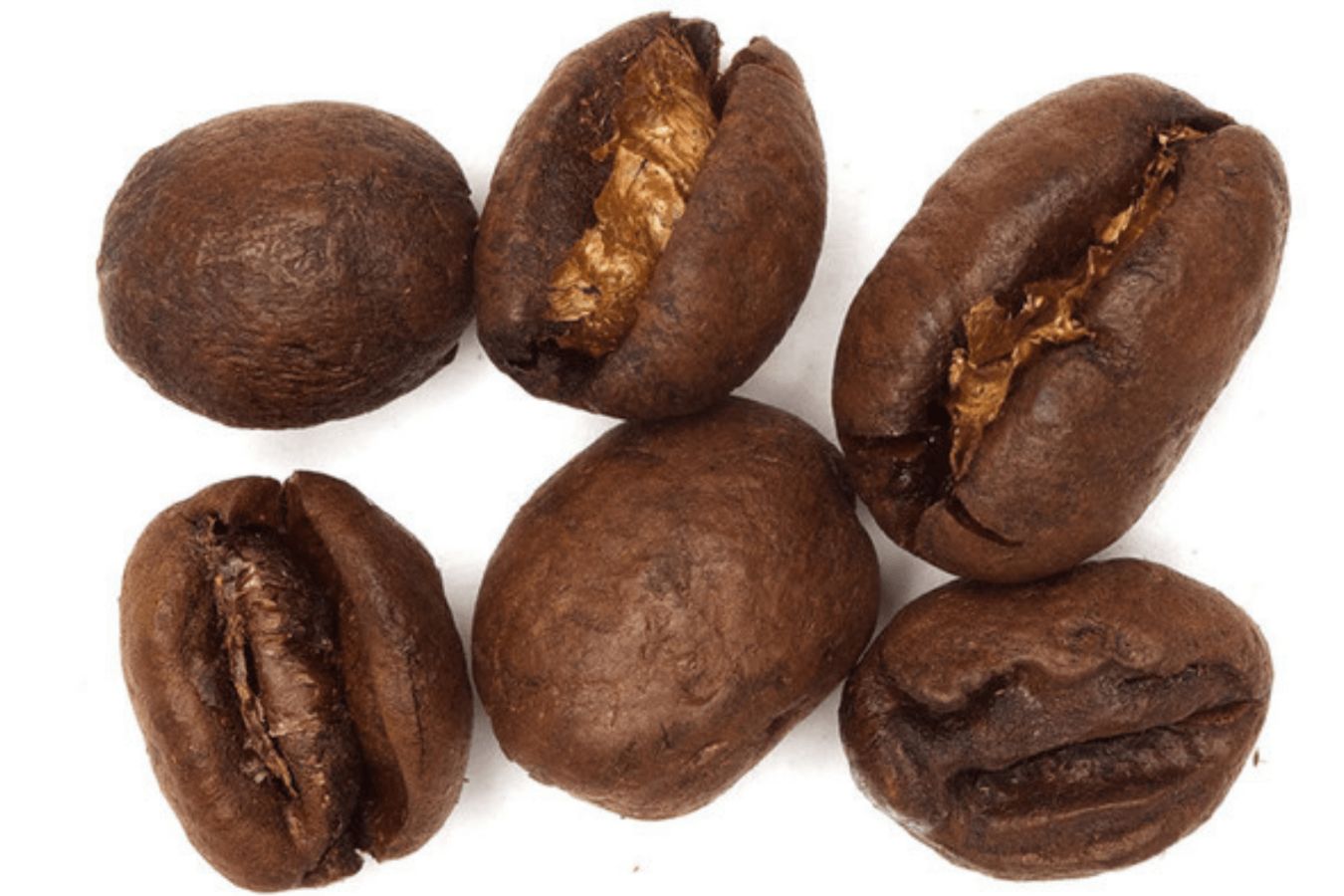 The 4 Most Popular Coffee Lines