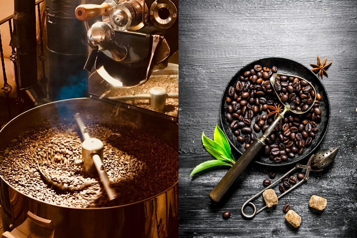 Traditional Coffee Roaster Vs Modern Coffee Roaster