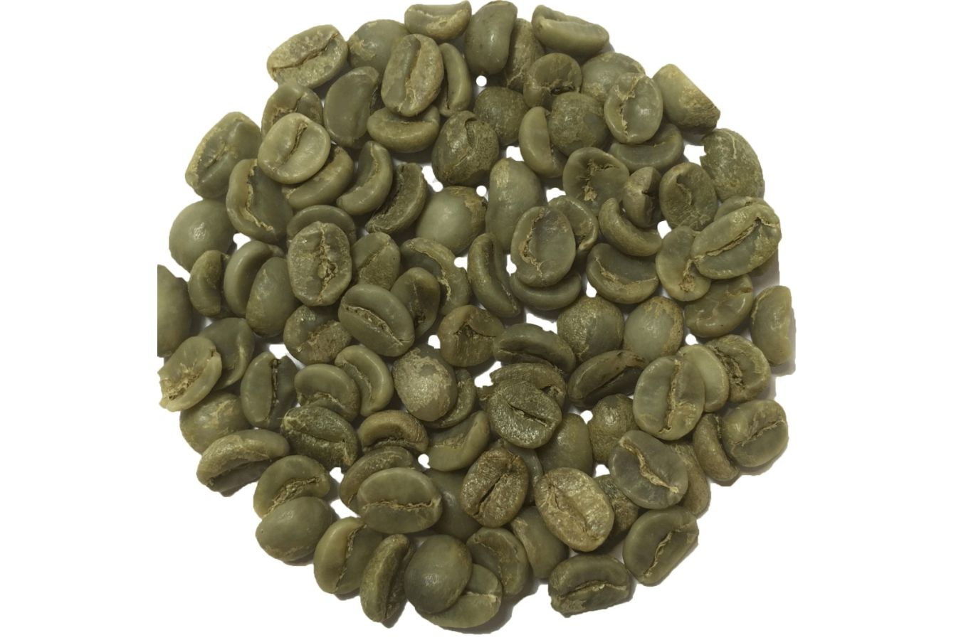 What Is Green Coffee?