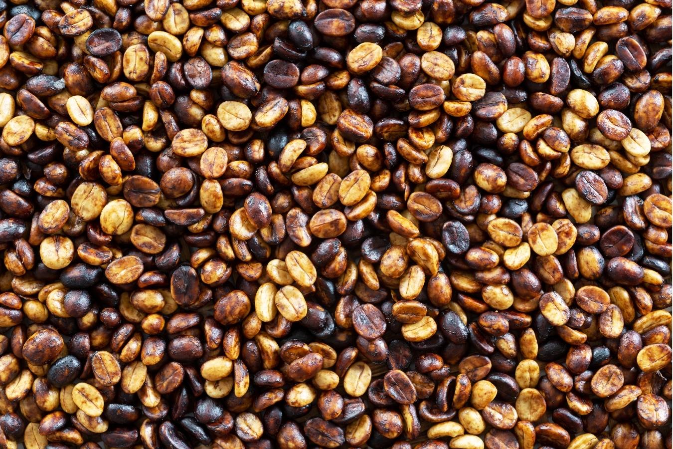 Pros And Cons Of The 3 Most Popular Coffee Processing Methods Today