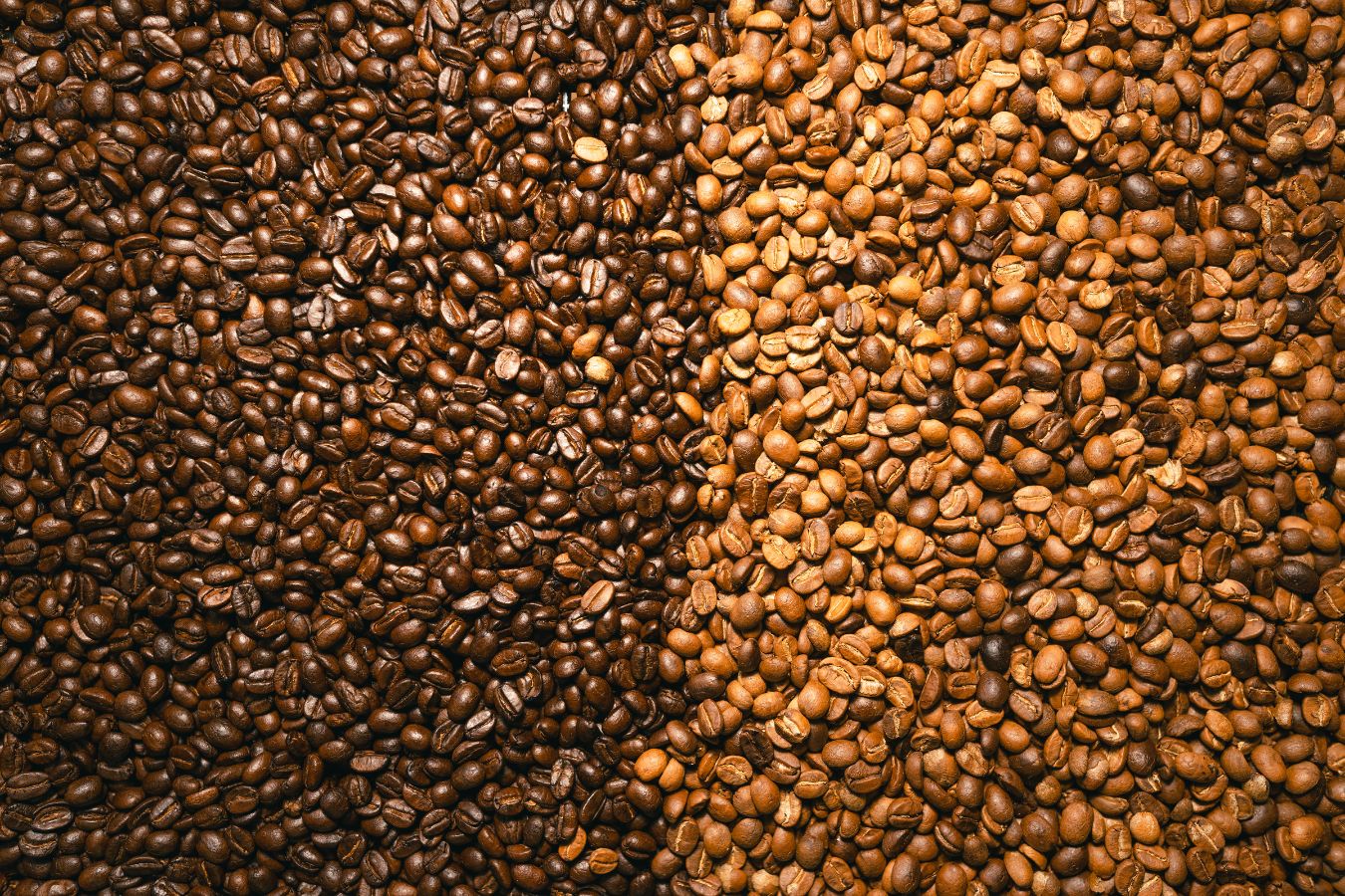 Evaluate The Flavor Of Coffee After Roasting
