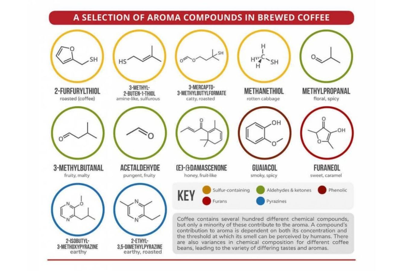 Overview Of Coffee Flavor
