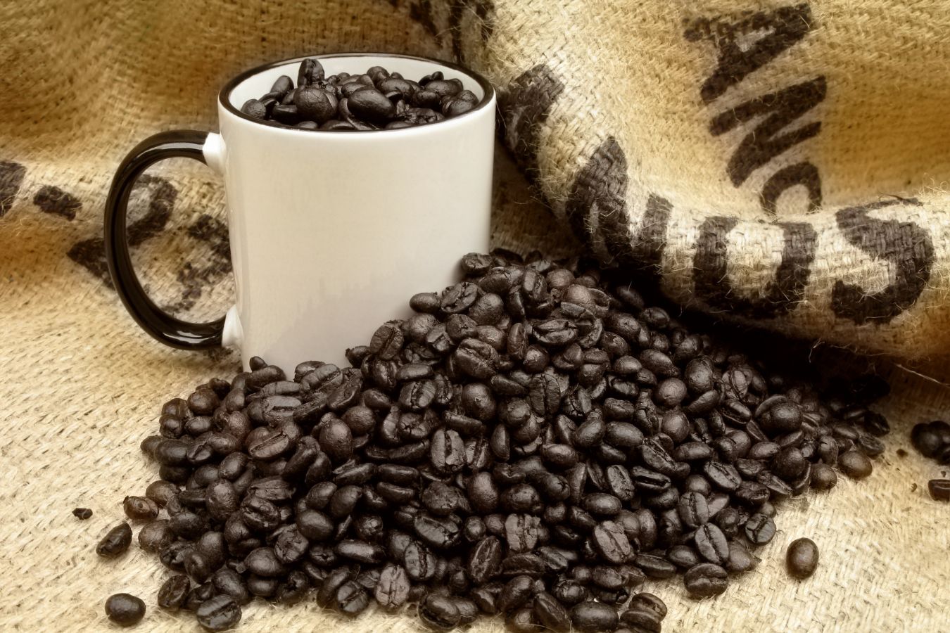 Primary Dark-Roast Coffee Taste Sensations