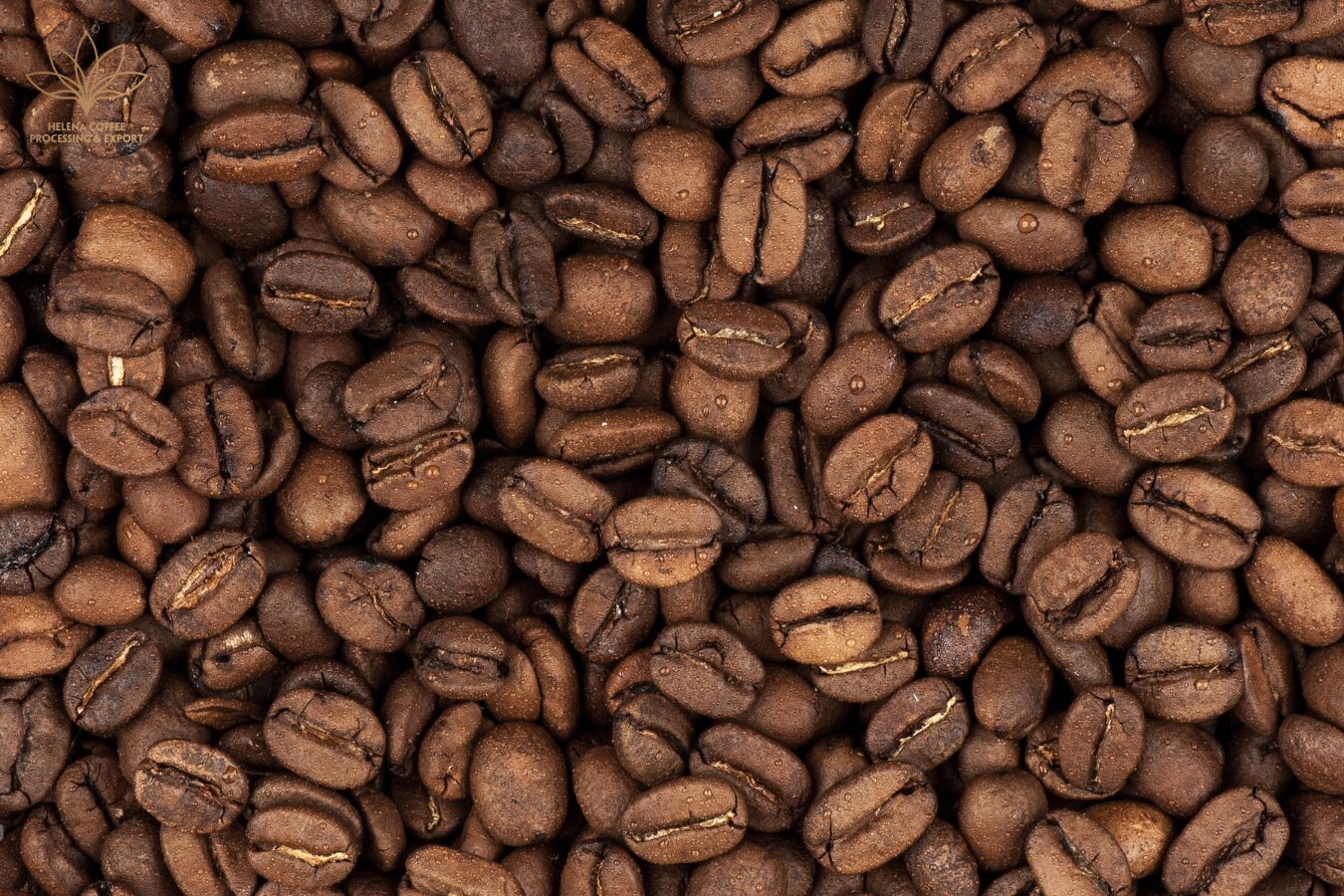 Quaker Beans And Coffee Quality