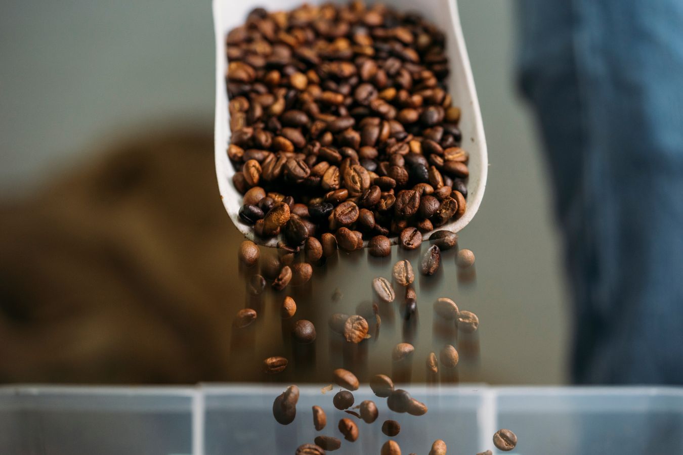 The Principles of Heat Transfer in Coffee Roasting