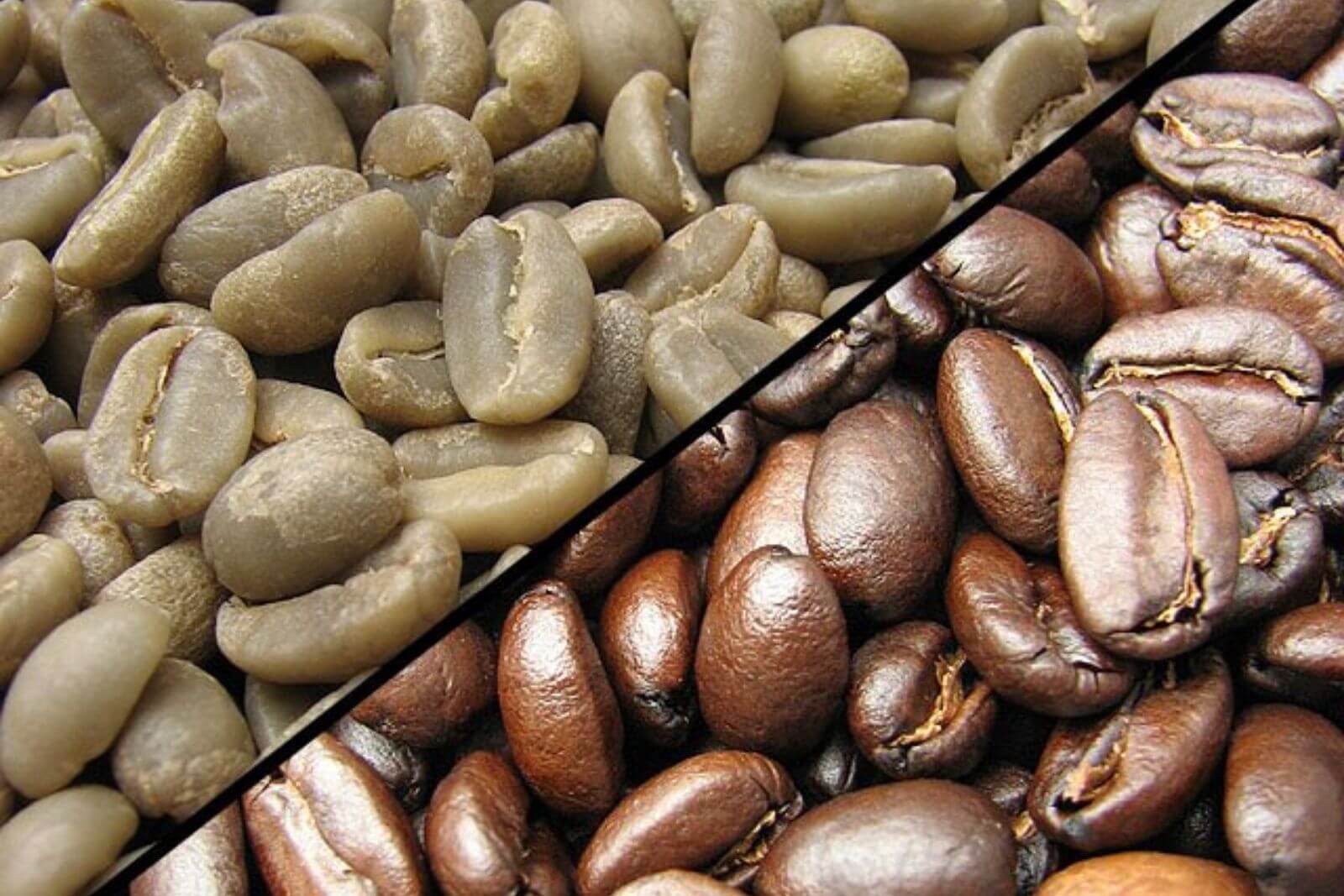 chemical-composition-of-unroasted-coffee-beans