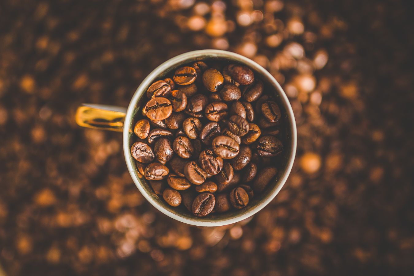 Tips for Choosing the Right Coffee Beans For You (Buying coffee beans)