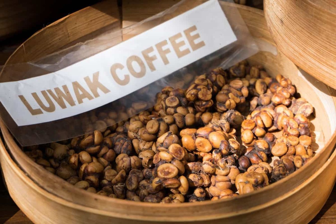 Why Is Mink Coffee So Expensive?
