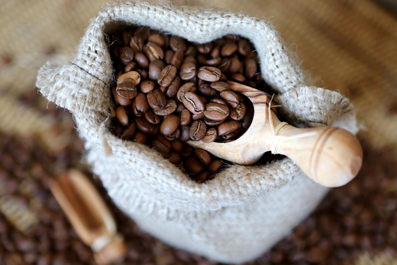 How to buy coffee beans directly from a Vietnam producer