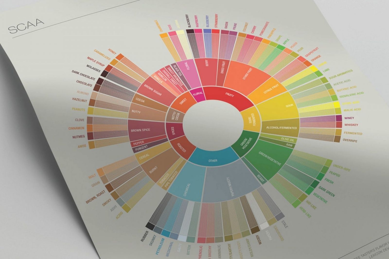 A Beginner's Guide To Coffee Flavour Profiles