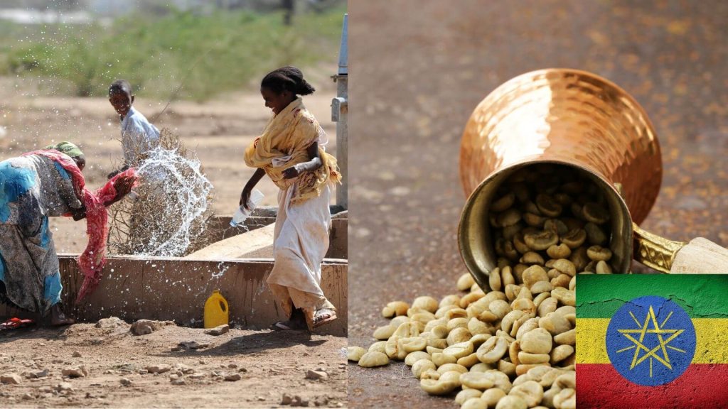 Africa - Ethiopia - Home of the world's best coffees