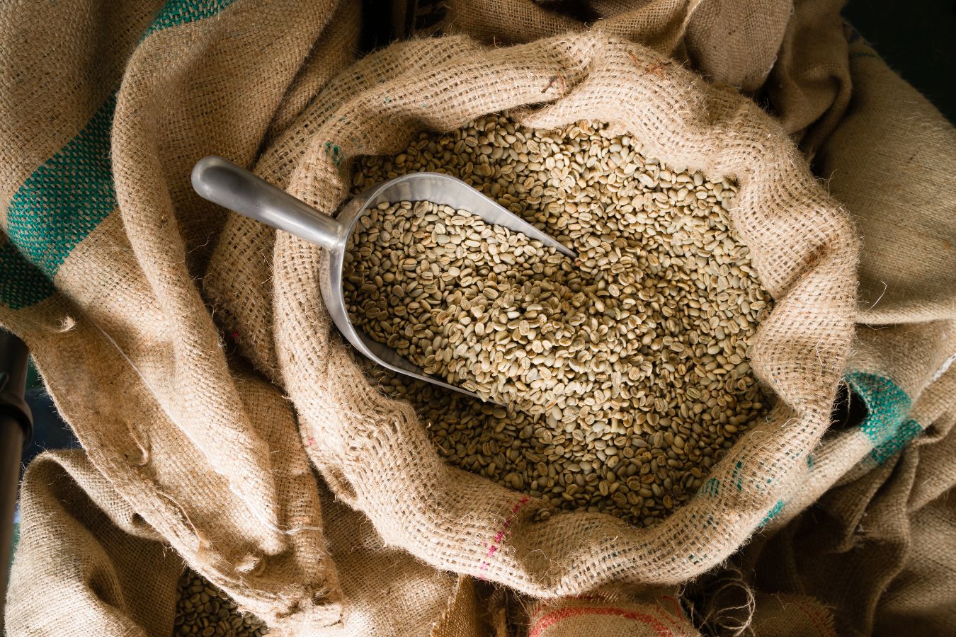 Bulk green coffee beans suppliers
