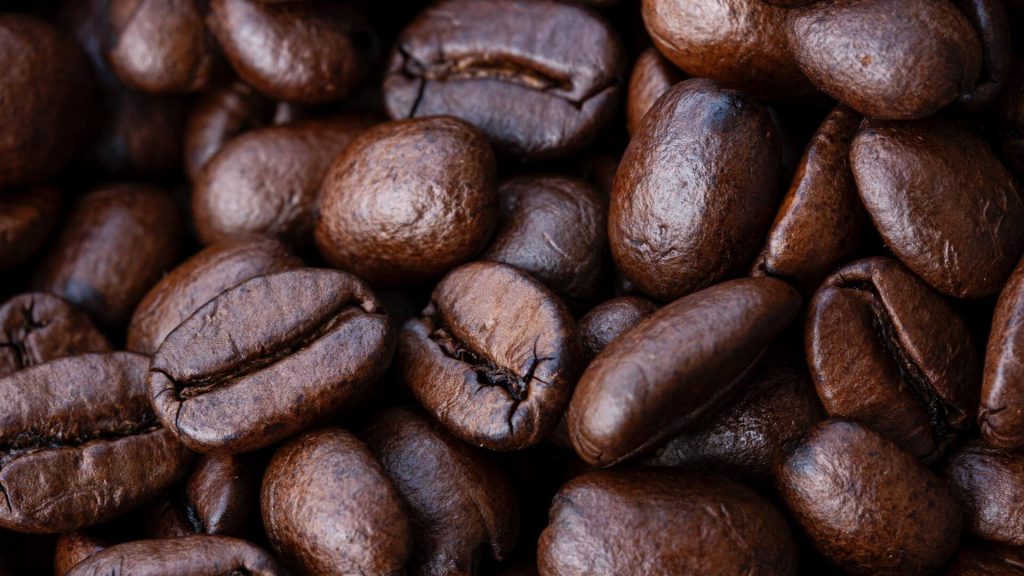 What is the best type of coffee beans?
