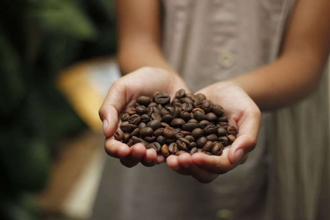 How Does Coffee Bean Trading Work