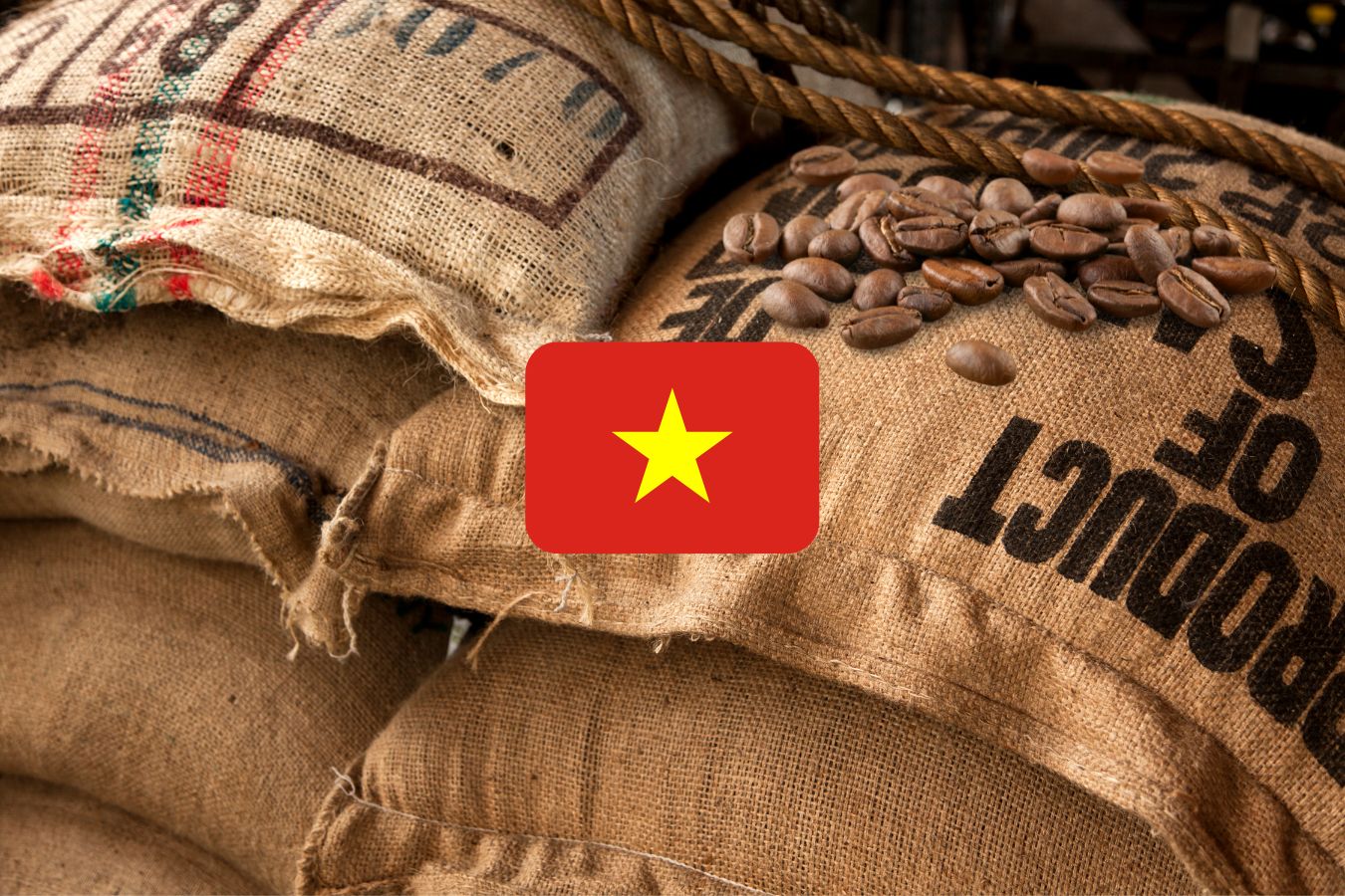How to buy coffee from Vietnam